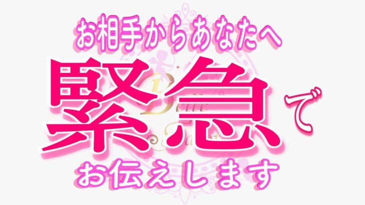 【恋愛❤️緊急】今すぐ聞いてほしい😢[個人鑑定級タロット🧚]