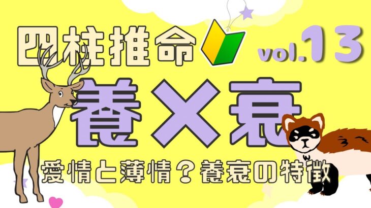 【四柱推命入門vol.13】養×衰★十二運の特徴を知るシリーズ②