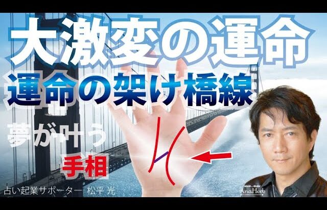 手相占い運命の架け橋線☆運命線生命線☆大成功 大激変 大きく人生が変化する人【手相占い師】開運スピリチュアル松平 光