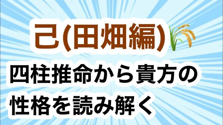 己(つちのと)田畑編　四柱推命十干　10個の星🌟