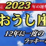 【2023年牡牛座♉️運勢】恋愛運・仕事運・金運・各月の詳しい運勢【12年に一度のラッキーな年！】