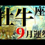 牡牛座♉️幸福の訪れ🌈永遠の約束💍今この瞬間のあなたが最高なんです💝９月運勢 [全体運・仕事運・対人運・手放すこと・近未来・神様メッセージ]