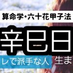 【算命学】六十花甲子法・辛巳日