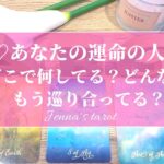 💖あなたの運命の人💖今どこで何してる⁉️どんな人⁉️もう出会ってる⁉️【タロット🔮オラクルカード】恋愛・出会い・片思い・復縁・ソウルメイト・ツインレイ・片想い・恋人・恋の行方・複雑恋愛・音信不通