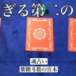 【魂占い】あなたの第二の人生を占いました！