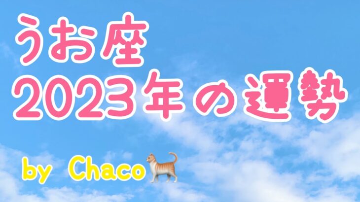 うお座🌱2023年タロット占い🌱常識を覆す！本当の力を発揮していく！