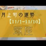 ♏蠍座♏11月上旬の運勢【11/1~11/10】🌟タロットリーディング🌟