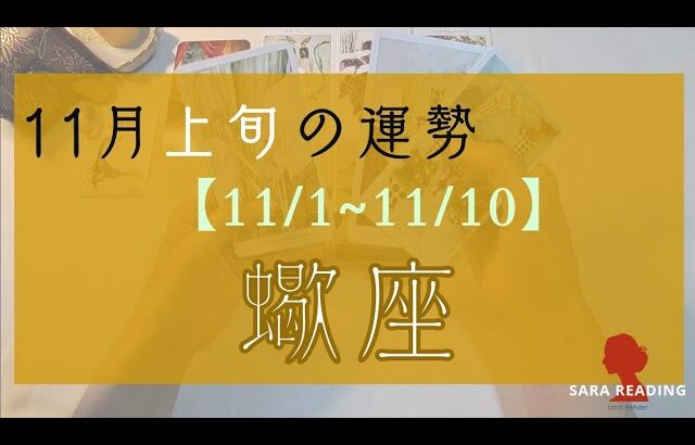 ♏蠍座♏11月上旬の運勢【11/1~11/10】🌟タロットリーディング🌟