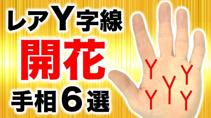 【手相】あったら激レア！線が二又になってるY字線！開花手相６選