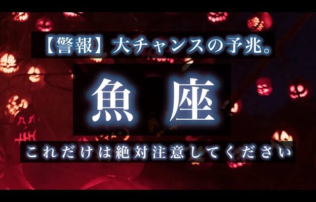 10/15~11/15♓️魚座🌟願いを叶える力を授かりました。希望の光から目を逸らさないで。おだやかな愛を感じてください。🌟しあわせになる力を引きだすタロットセラピー