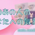 今のあの人のあなたへの気持ち🦋🤍【タロット・オラクル・恋愛・占い】