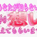 【対話鑑定級🧚】あなたが知らない…お相手のあなたへの想いを深く質問したら感動すぎた｡｡