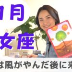 【乙女座】風向きが変わります！耐え抜いた先に実りが！| 癒しの占いで 11月の運勢をみる