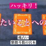 【魂占い】今のあなたが知りたいことへの答えを占いました！