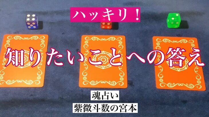 【魂占い】今のあなたが知りたいことへの答えを占いました！