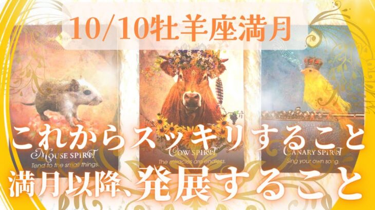 【10/10牡羊座満月】ホッとしてのびのび前進🧡スッキリすること、発展すること💫タロット＆オラクル＆ルノルマン