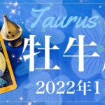 【おうし座】2022年11月運勢♉️かなりいい流れ…チャンスと吉報の到来、やっと芽が出る、安心と成就のタイミング