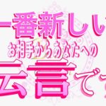 【恋愛❤️最新のお相手から🌟】大至急お伝えします😢[個人鑑定級タロット🧚]