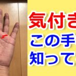 【手相占い】気付き線って知ってる？【手相鑑定 vol.203】