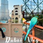 Dubai Vlog 🇦🇪｜地表最大購物商場, 阿拉伯風水煙店推薦,杜拜動物園｜Dubai Mall, Green Planet, Shakespeare and Co.