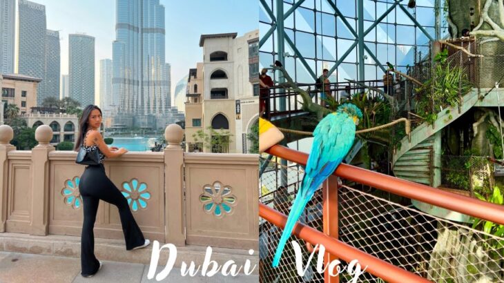 Dubai Vlog 🇦🇪｜地表最大購物商場, 阿拉伯風水煙店推薦,杜拜動物園｜Dubai Mall, Green Planet, Shakespeare and Co.