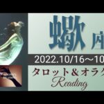 【さそり座】2022年10月後半 タロット占い ～もう気づいてるでしょ？あなたは自由ʚ♥ɞ本当にやりたいことをやりましょう～