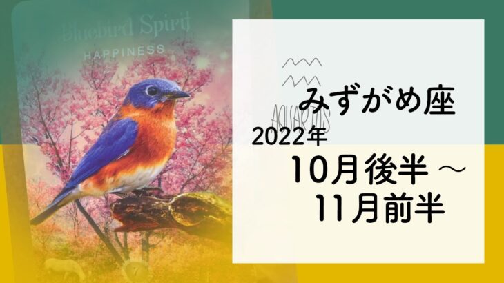 【みずがめ座】喜びの予兆！★2022年10月後半〜11月前半★タロットリーディング★【テキストのみ】【水瓶座】