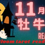 【♉️牡牛座】11月前半の reading🌈絶好調☀️成功の道へ…