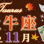 11月💖牡牛座♉️おめでとう！！あなただから手に出来る幸福！