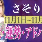 さそり座さん11月1日から10日の運勢、アドバイス🍀*゜