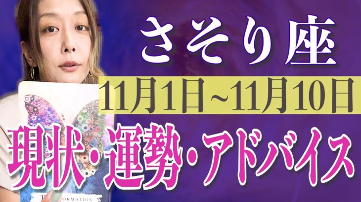 さそり座さん11月1日から10日の運勢、アドバイス🍀*゜