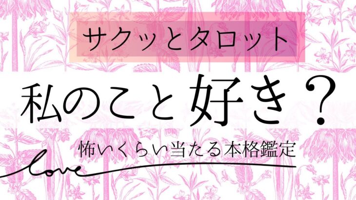 【サクッと】私のこと好き？❤️お相手の気持ち【恋愛】和タロット、忖度一切なし