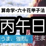 【算命学】六十花甲子法・丙午日