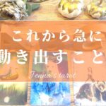 素晴らしい動きが待ってます💖【タロット🔮】これから急に動き出すこと💫【オラクルカード】恋愛・人間関係・仕事・夢・人生・悩み・片思い・復縁・恋の行方・未来