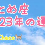 おとめ座🌱2023年タロット占い🌱心がスッと軽くなる癒しの一年