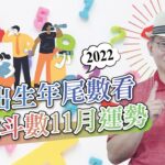 從(西元)出生年尾數，紫微斗數１１月運勢（含農曆）｜張明老師｜旺好運