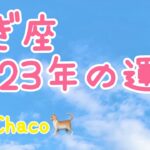 山羊座🌱2023年タロット占い🌱強力なサポートを享受する