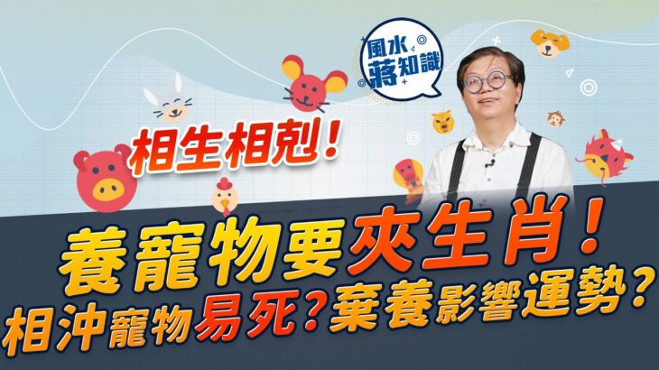 養寵物要夾生肖！貓與猴相沖，屬猴「貓奴」隨時剋死心愛毛孩？邊個生肖不宜養狗？棄養會影響運勢？｜《周一加油站》｜風水蔣知識｜etnet