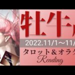 【おうし座】2022年11月前半 タロット占い ～🎉成功💐🎊のビッグウェーブ来てます‼️乗らずしてどうする、行くよー❣️～