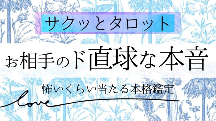 【サクッと】ド直球な本音❤️お相手の気持ち【恋愛】和タロット、忖度一切なし