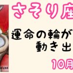 【10月後半の運勢】蠍座　運命の輪が周り始めてる！超細密✨怖いほど当たるかも知れない😇#星座別#タロットリーディング#蠍座