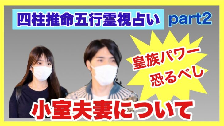 【四柱推命五行霊視占い】小室夫妻について②