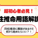 【四柱推命用語解説①】初心者、これからお勉強始める方向けに用語解説！