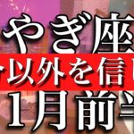 やぎ座♑︎11月前半　コートカード5枚！自分以外を信じる時　Capricorn✴︎November