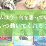 怖いくらい当たる🥺💖【恋愛💞】あの人は今なにを思っている？動く気はある？いつ動く？【タロット🔮オラクルカード】片思い・復縁・音信不通・冷却期間・複雑恋愛・あの人の気持ち・本音・未来・恋の行方