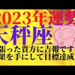 【2023年星座占い♎てんびん座運勢】天秤座さんには大切な年です！ポジティブ年間リーディングと健康運・愛情運・仕事運・金運😊