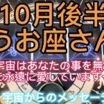 うお座さん⭐️10月後半⭐️宇宙はあなたの事を無条件に永遠に愛❤️しています〜⭐️アルクトゥリアン・プレイディアン・ハイブリッド⭐️