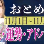 おとめ座さん11月1日から10日の運勢、アドバイス🍀*゜