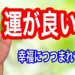 なんだかいつも運に恵まれている人が持つ手相を紹介　人格者でもあり