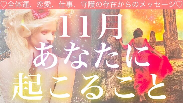 11月あなたに起こること❣️🧸🍐🧸💓全体運、恋愛、仕事💓守護の存在からのメッセージ💓タロット💫オラクルカードリーディング🔮